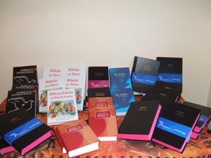 Bibles purchased from the Bible Society in Sesotho, English, Afrikaans, Xhosa and Tswana - 5 of the 11 languages spoken in South Africa. Also childrens Bibles.