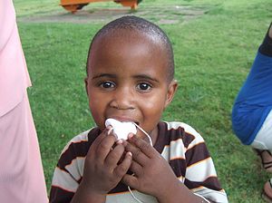 The Marshmallow Game